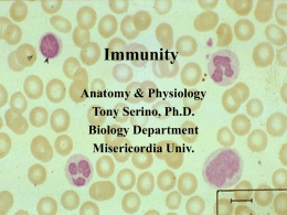 Immunity - Misericordia University