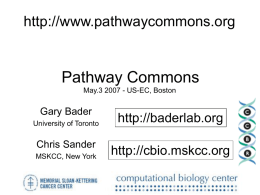 Systems Biology of Signaling Pathways