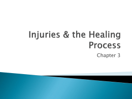 Injuries & the Healing Process