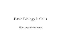 Basic Biology - NIU Department of Biological Sciences
