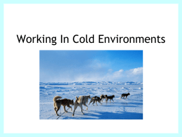 Working In Cold Environments