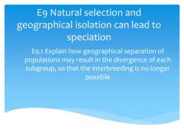 E9 Natural selection and geographical isolation can lead