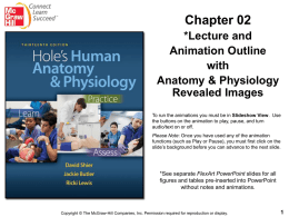 PowerPoint to accompany Hole&rsquo;s Human Anatomy and