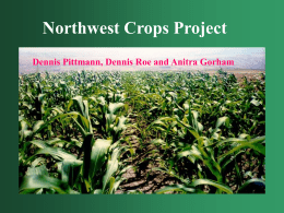 Northwest Crops Project - Washington State University