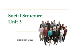 Social Structure Unit 3 - Francis Social Studies