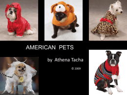 American Pets - Oberlin College