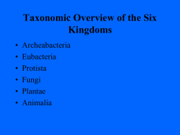 Taxonomic Overview of the Six Kingdoms