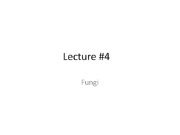 Lecture #4