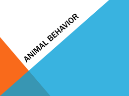 ANIMAL BEHAVIOR - National Association of Agricultural