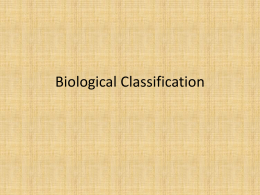 Biological Classification - Sebastian Charter Junior High