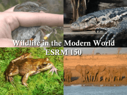 ESC 250 Wildlife & Society