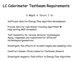 E-flow Test Beam Requirements