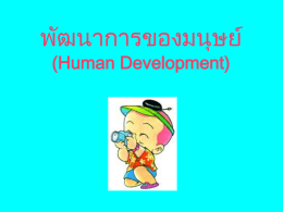 พัฒนาการของมนุษย์ (Human Development)