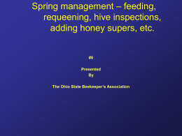 Spring management – feeding, requeening, splits, adding