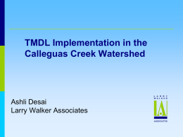 The Development of Total Maximum Daily Loads (TMDLs) in