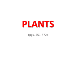 PLANTS - Weebly