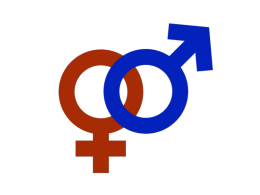 Gender Concept