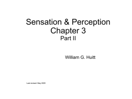 General Psychology: Perception