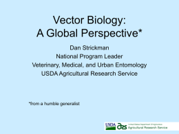 Vector Biology: A Global Perspective*