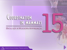 COORDINATION_IN_MAMMALS__A