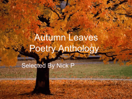 Fall Poetry Anthology