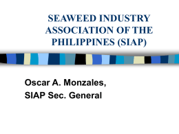 SEAWEED INDUSTRY ASSOCIATION OF THE PHILIPPINES (SIAP)