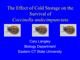 The Effect of Cold Storage on the Survival of Coccinella