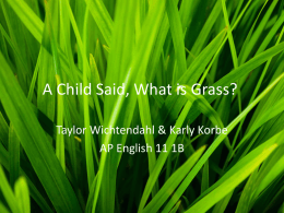 A Child Said, What is Grass?
