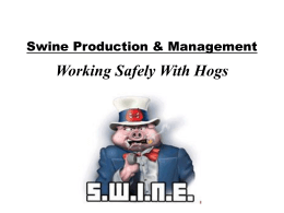 35.069 Swine Production & Management