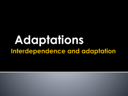 Interdependence and adaptation