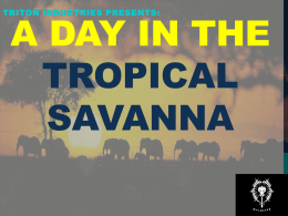 Tropical Savanna - Mercer Island School District / Homepage