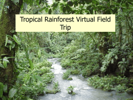 Tropical Rainforest Virtual Field Trip