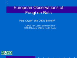 Fungi on European Bats - National Speleological Society