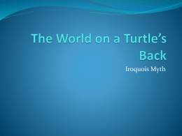The World on a Turtle’s Back
