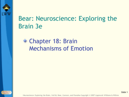 Ch 18 - Brain Mechanisms of Emotion