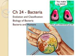 Ch 24 - Bacteria