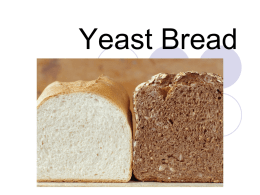 Yeast Bread - Wasatch School District