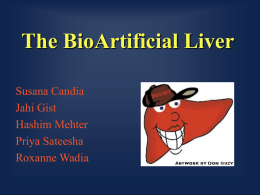 The BioArtificial Liver - Division of Biology and Medicine