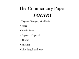The Commentary Paper
