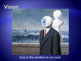 Vision - AP Psychology