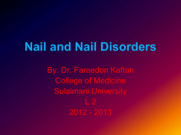 NAILS - Shanyar's Lecture Explorer