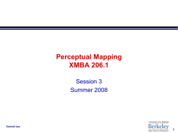 Perceptual Mapping XMBA 206.1
