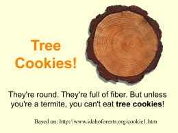 Tree Cookies PowerPoint - Marcia's Science Teaching Ideas