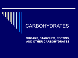 CARBOHYDRATES - University of Akron