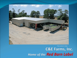 C&E Farms Inc.