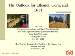 The Outlook for Ethanol, Corn, and Beef