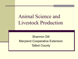 Animal Science and Livestock Production