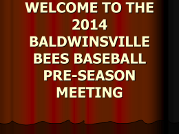 BALDWINSVILLE BEES BASEBALL HANDBOOK