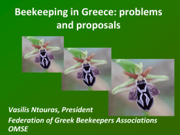 Beekeeping in Greece - The Greens | European Free Alliance