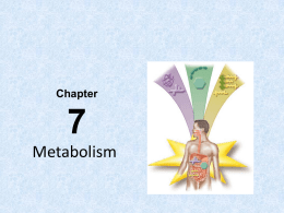 Spotlight on Metabolism